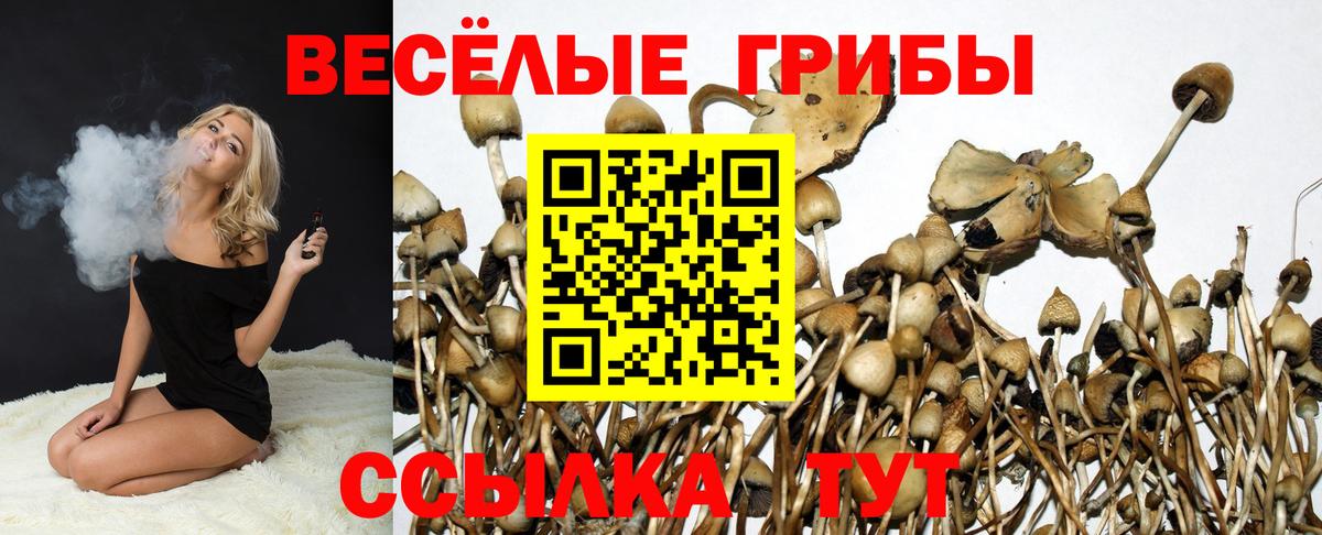 Галлюциногенные грибы Magic Shrooms Чебоксары