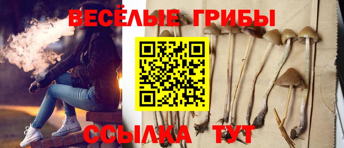 Чебоксары  Галлюциногенные грибы GOLDEN TEACHER  Вход с VPN 